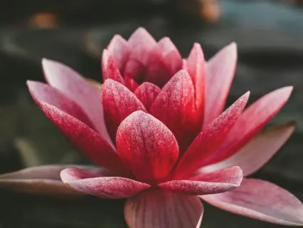 Grounding Inner Resources