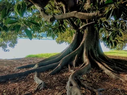 Grounding Instrumental