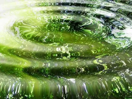 Grounding Into Gratitude: A Heart Coherence Meditation