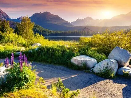 Grounding Into Gravity