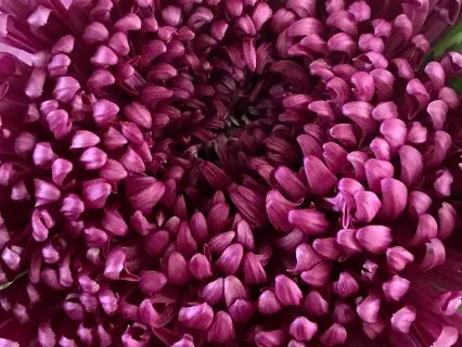 Grounding Into Mother Earth