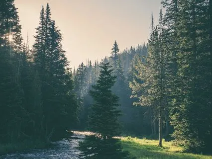 Grounding Into Support