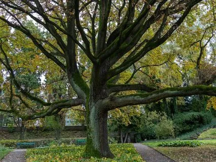 Grounding Into The Body And The Earth