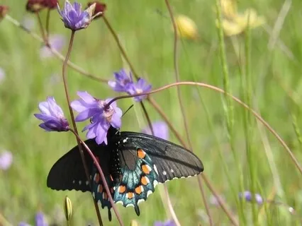 Grounding Into The Now