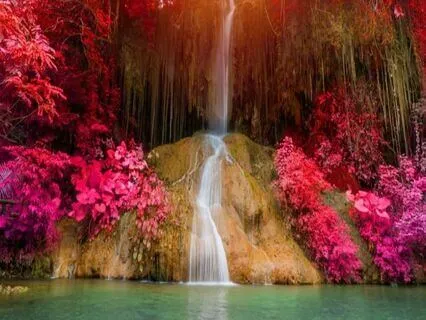 Grounding Light Meditation