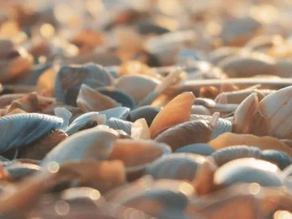 Grounding & Magical Ocean Morning Meditation
