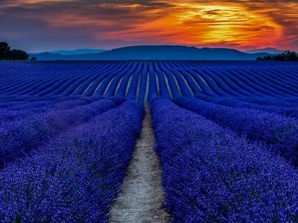 Grounding Meditation