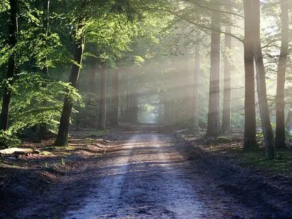 Grounding Meditation