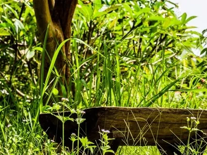 Grounding Meditation 