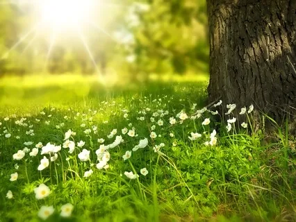 Grounding Meditation