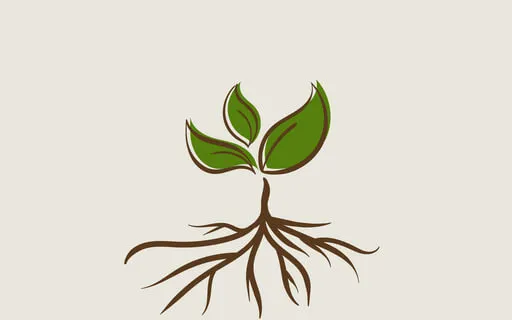 Grounding Meditation 