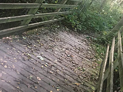 Grounding Meditation 