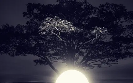 Grounding Meditation