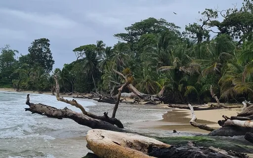 Feel Supported By Mother Nature And Deeply Ground Yourself