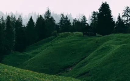 Grounding Meditation