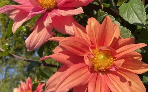 Grounding Meditation