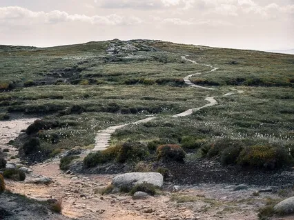 Grounding Meditation