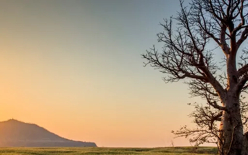 Grounding Meditation