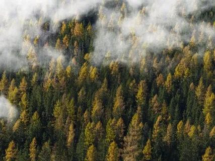 Grounding Meditation