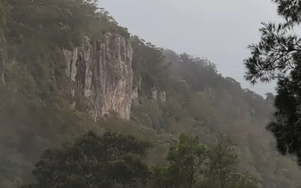 Grounding Meditation