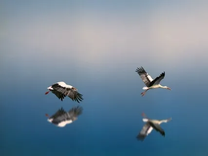 Grounding Practice: Bringing Ourselves Into Our Body