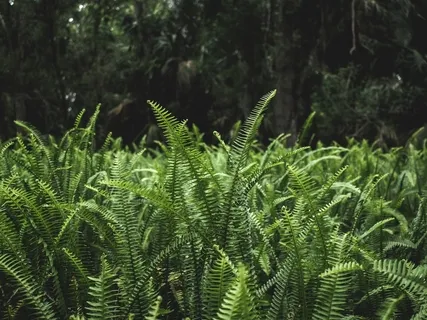 Grounding With The Body & Breath