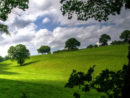 Grounding For Connecting With Yourself