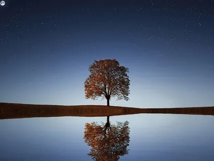 Grounding Meditation