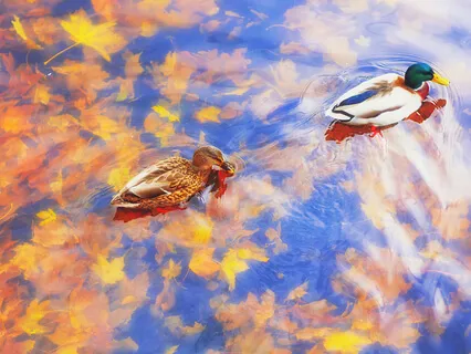 Grounding For Releasing Stress & Clearing Energy