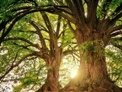 Grounding To What's Important