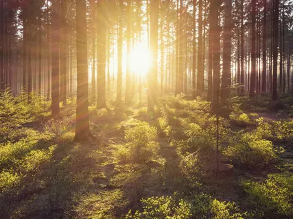 Grounding Meditation For Chakra-Opening