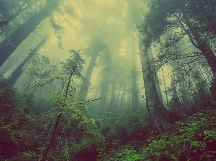 Grounding Meditation To Feel Renewed