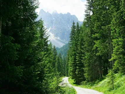 Grounding Meditation