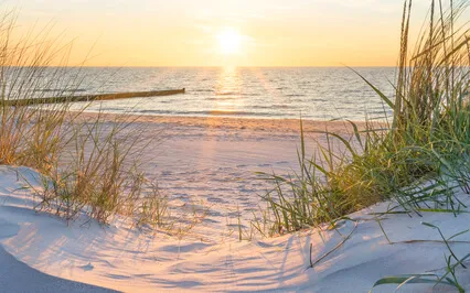 Grounding Meditation By The Sea With Positive Affirmations