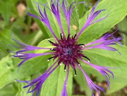 Grounding Meditation - Checking In With Body, Heart And Soul