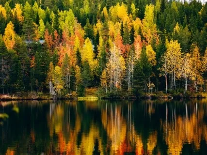 Grounding Meditation - Clarity For Decision Making