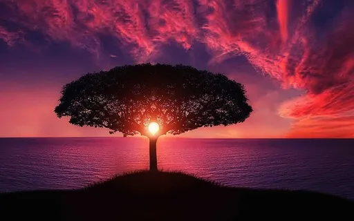 Grounding Meditation - Connect To The Earth & Tree Of Life