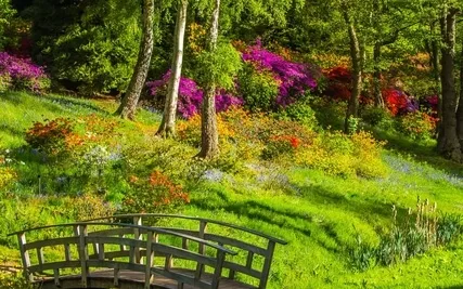 Grounding Meditation For An Overwhelming Day