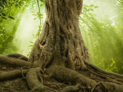 Grounding Meditation For Anxiety Relief