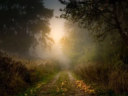 Grounding Meditation For Balance