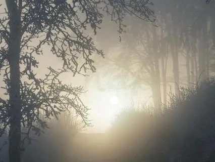 Grounding Meditation For Calm And Clarity