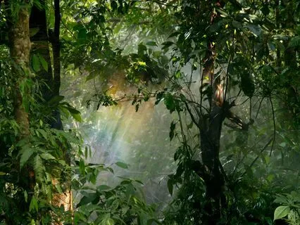 Grounding Meditation For Centering And Rebalancing