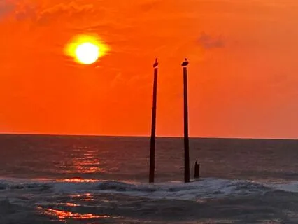 Grounding Meditation For Cleansing And Clearing