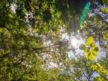 Grounding Meditation For Coming To Your Center