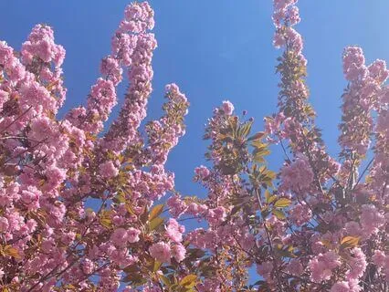 Grounding Meditation For Creative Flow