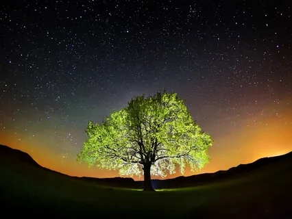 Grounding Meditation for Divine Alignment & Connection