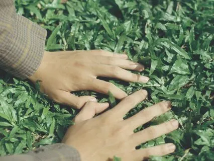 Grounding Meditation For Energy And Stress Relief