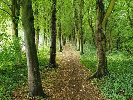 Grounding Meditation For Relaxation