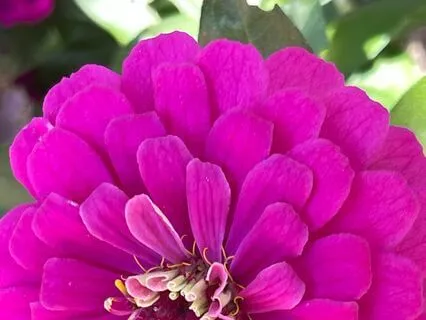 Grounding Meditation For Stress And Anxiety Relief