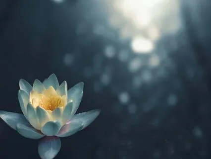 Grounding Meditation For Studying